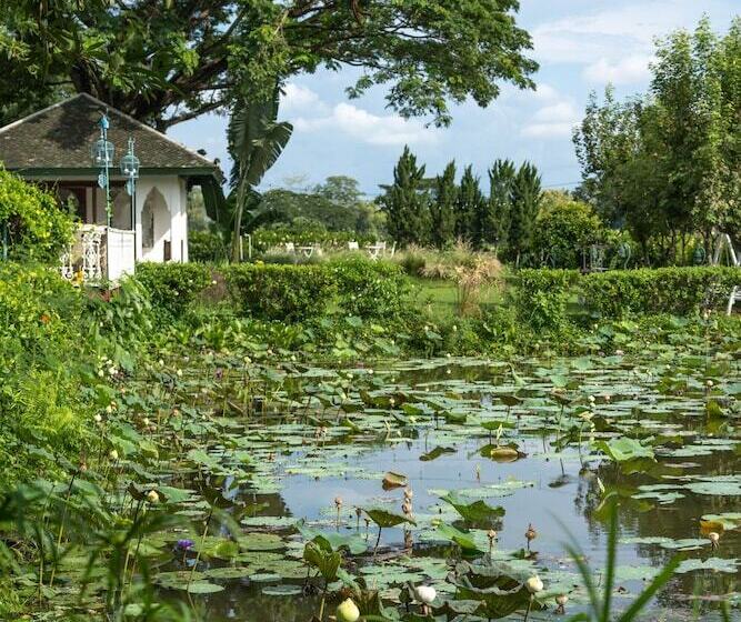 Отель Rosario Oasis Resort   Sha Plus