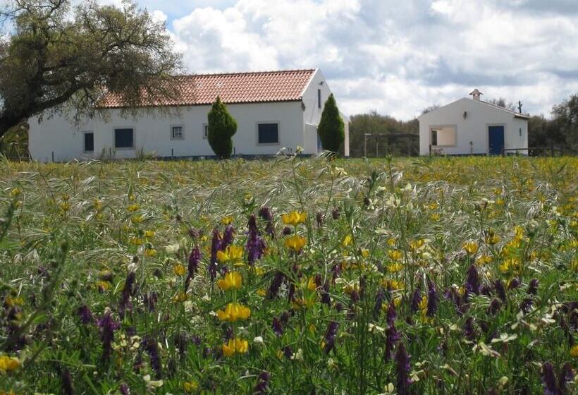 교외 호텔 Monte Das Faias Cork Farm