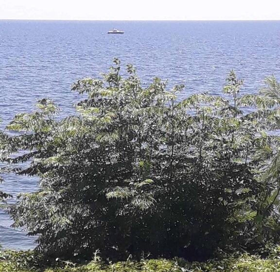 בית מלון כפרי Samothraki Beach Apartments And Suites