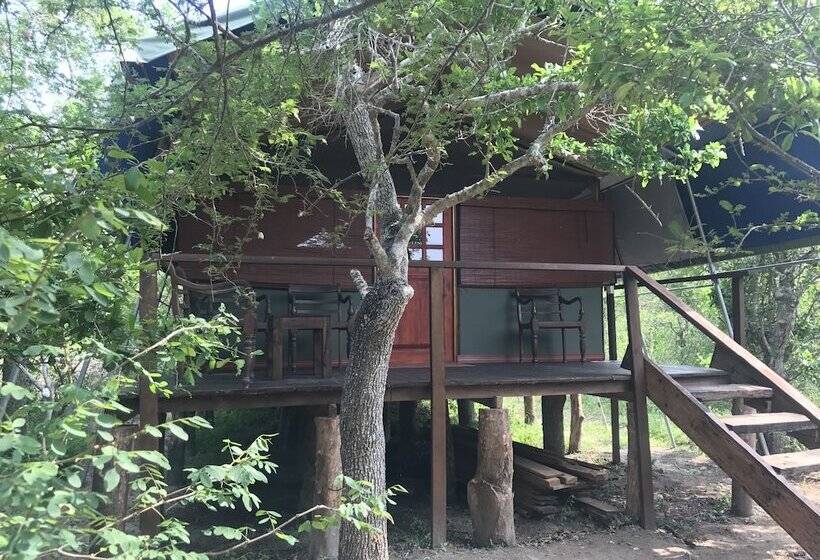 Отель The Elephant Pass  Yala