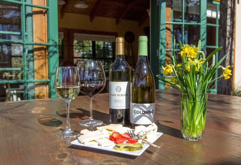 בית מלון כפרי The River Lodge