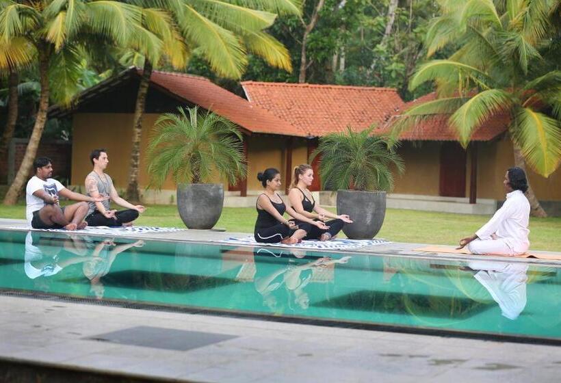 בית מלון כפרי Villa Velmarie Yoga And Ayurveda House All Inclusive