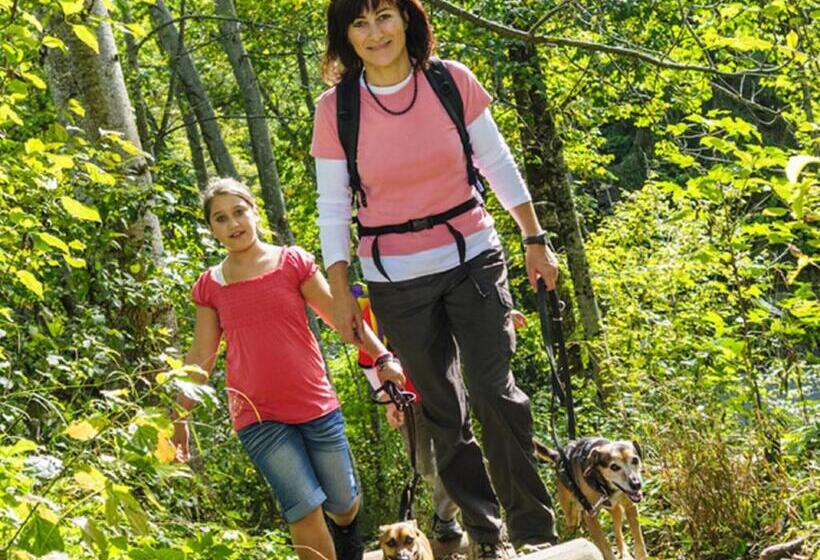 Moselstern Hotel Zum Guten Onkel