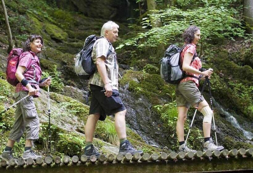 Moselstern Hotel Zum Guten Onkel
