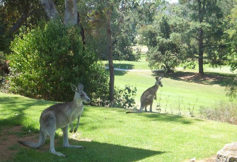 מוטל Commercial Golf Resort