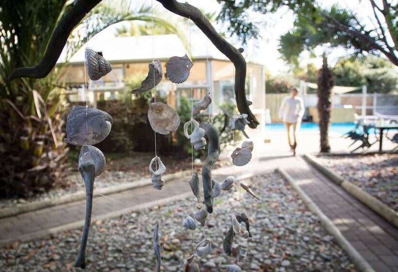 Paradiso Backpacker Hostel