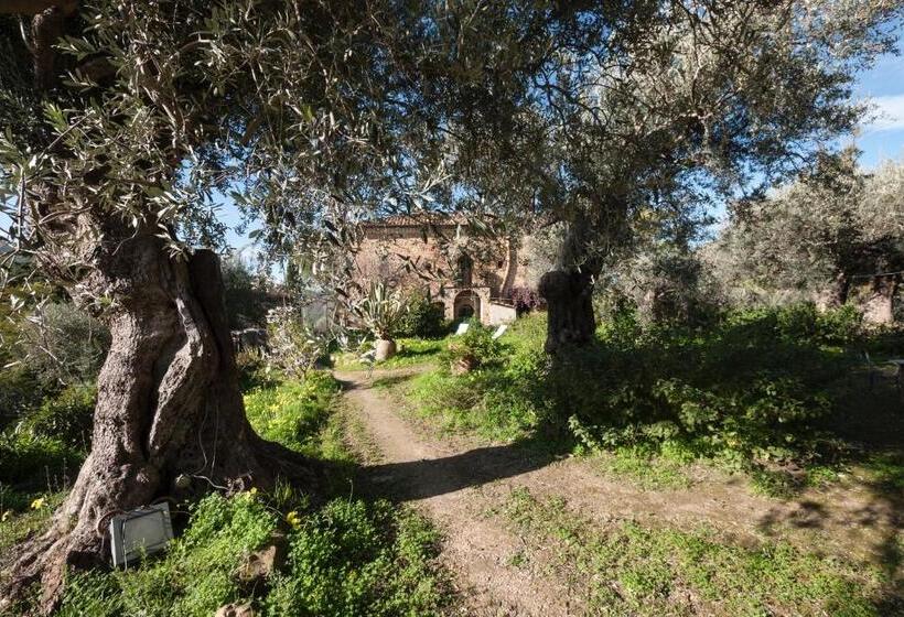 פנסיון Casa Migliaca