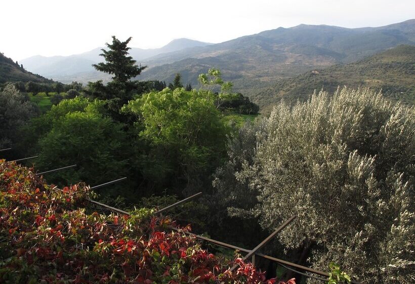 פנסיון Casa Migliaca