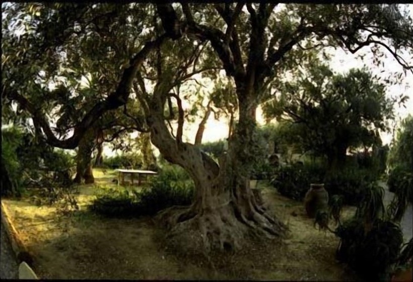 פנסיון Casa Migliaca