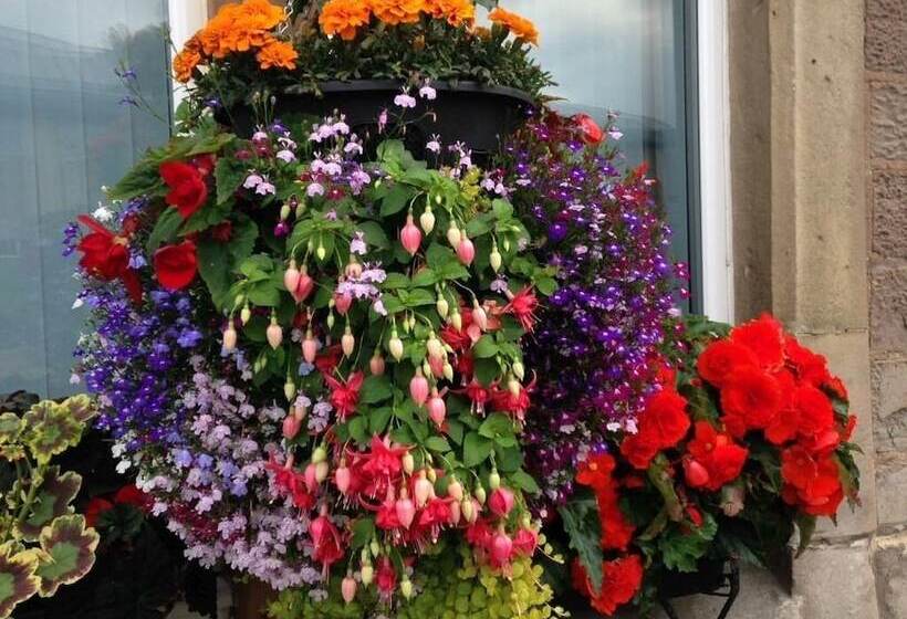 Пансион Rosebank Guest House