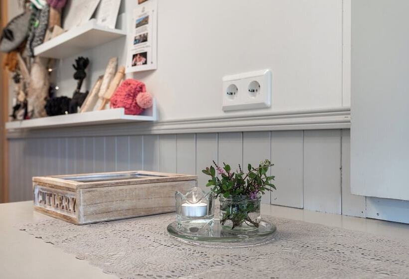 پانسیون Síreksstaðir