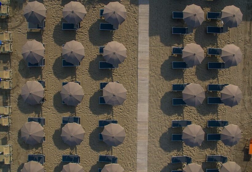 Rouge Hotel International