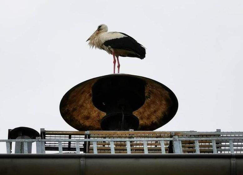 Spreewaldschule @swarmhotels