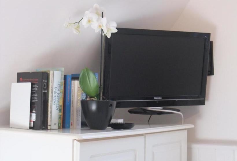 ベッドアンドブレックファースト The Fernery