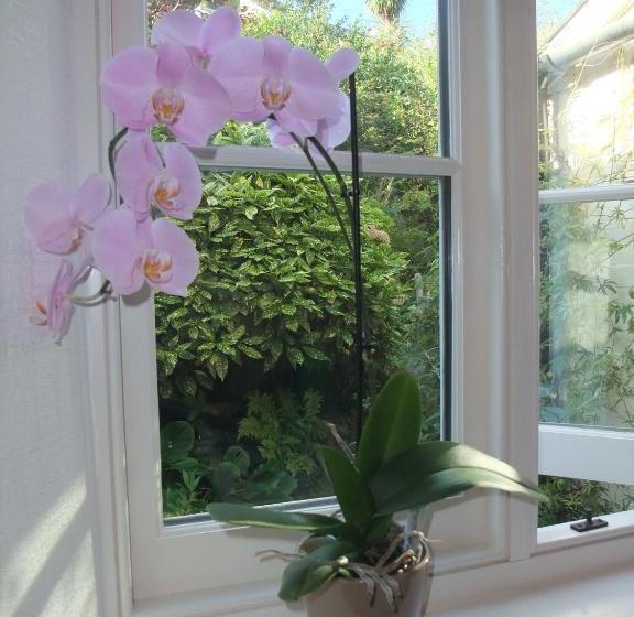 ベッドアンドブレックファースト The Fernery