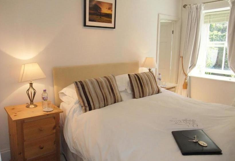 ベッドアンドブレックファースト The Fernery