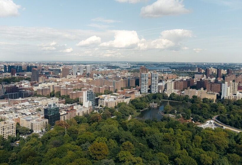 فندق صغير Kama Central Park