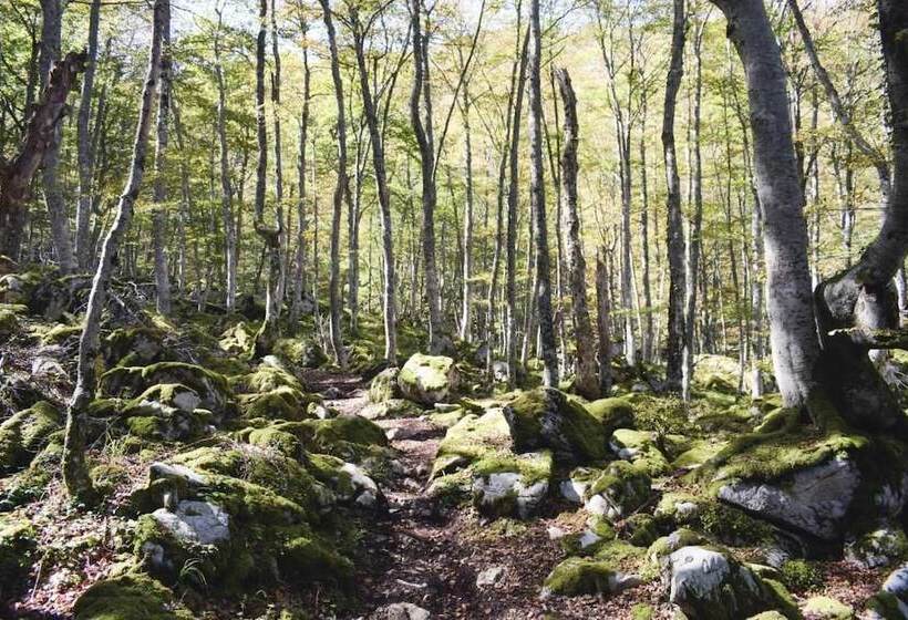 فندق Casa El Rápido