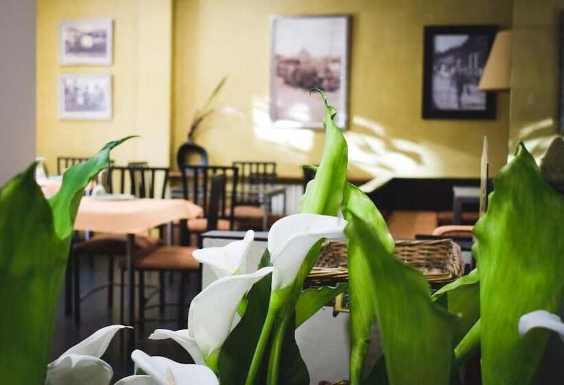 فندق Casa El Rápido