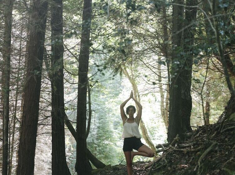 בית מלון כפרי Nafarrola Gastronomy & Wine