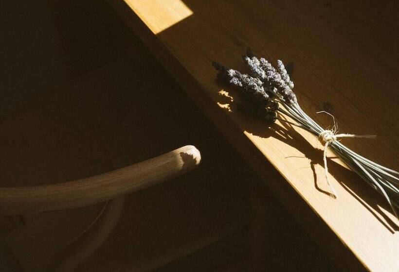 בית מלון כפרי Nafarrola Gastronomy & Wine