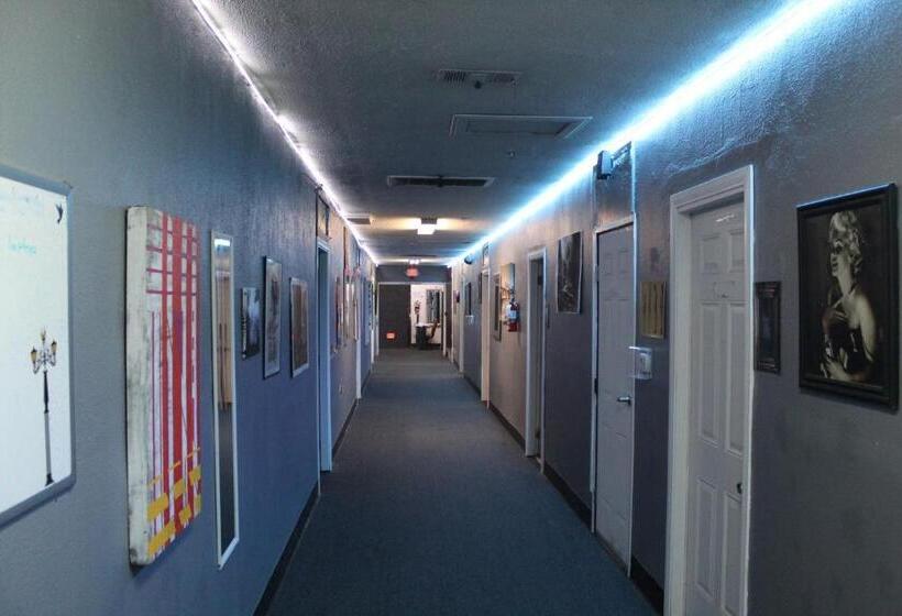 فندق صغير Artist Housing   Downtown