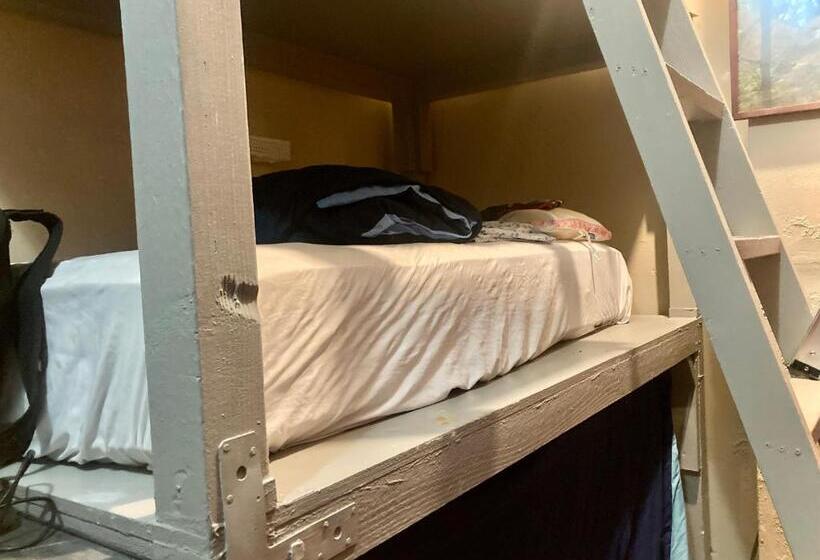 فندق صغير Artist Housing   Downtown