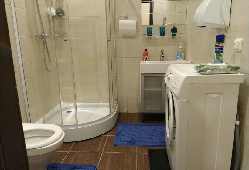 ペンション Gesthouse On Grecheskiy 29