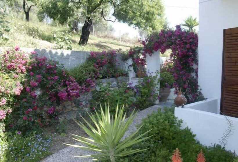 Camelia Studios