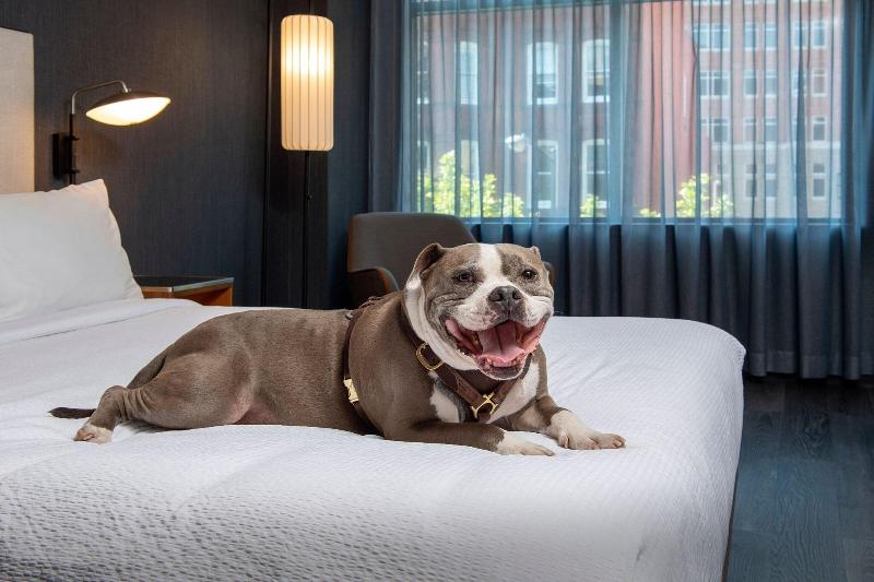 Courtyard By Marriott Washington, Dc Dupont Circle