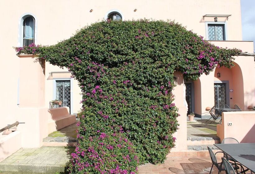 펜션 Flegrea House Casa Rosa