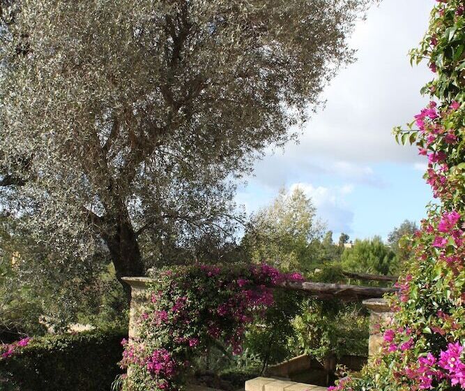 펜션 Flegrea House Casa Rosa