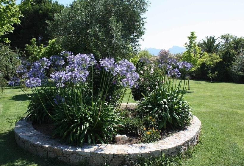 Курорт Residence Casa Oleanda