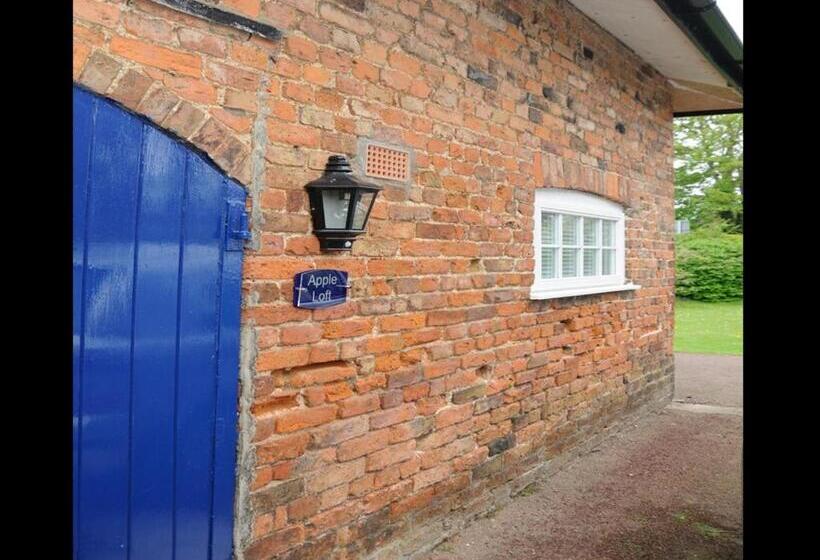 Apple Loft