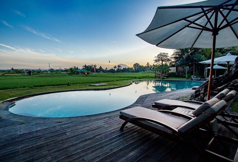 Arya Villas Ubud