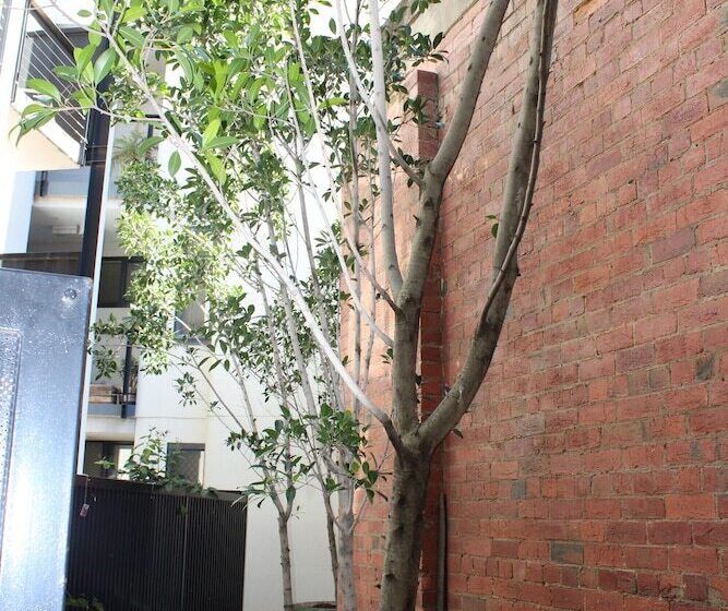 Australian Home Away At Market Square Melbourne