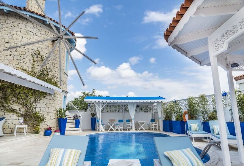 住宿加早餐 Alacati Degirmen