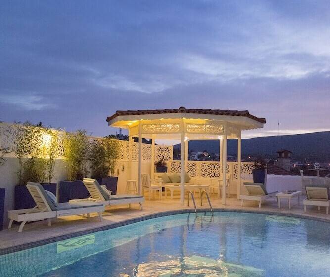 住宿加早餐 Alacati Degirmen