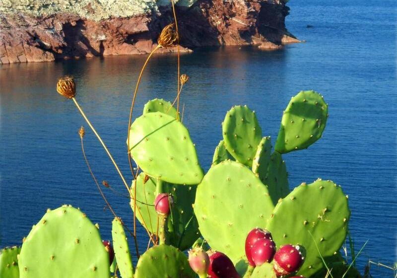 ベッドアンドブレックファースト Green Garden