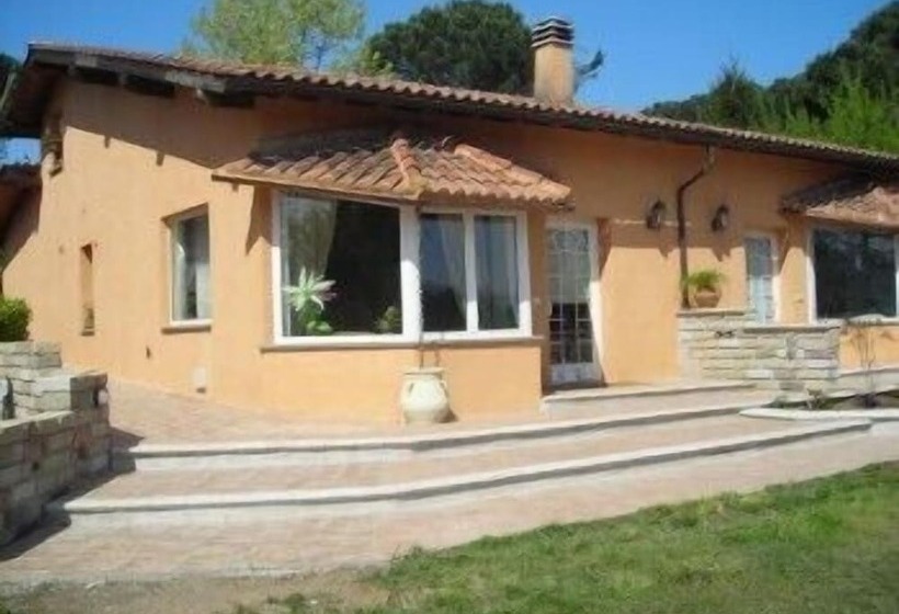 ベッドアンドブレックファースト Maya