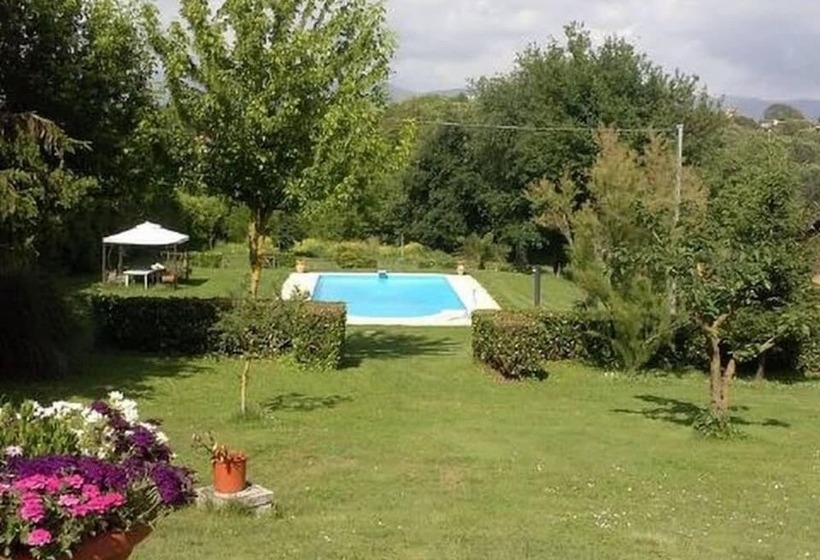 ベッドアンドブレックファースト Maya