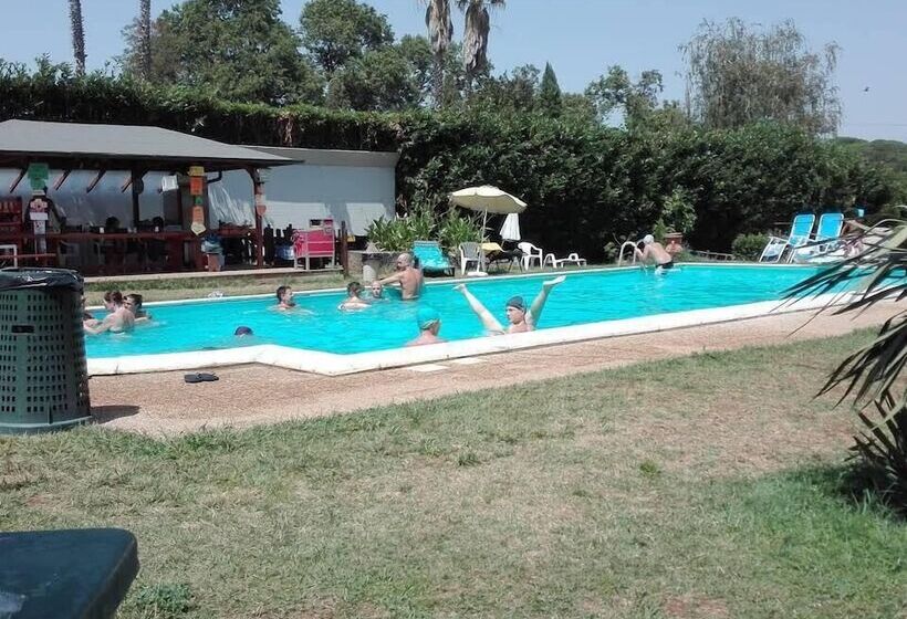 ベッドアンドブレックファースト Maya