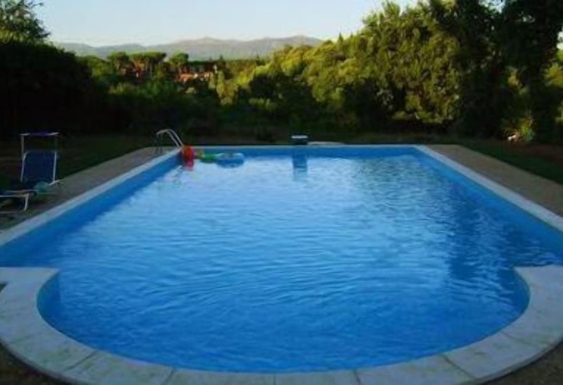 ベッドアンドブレックファースト Maya