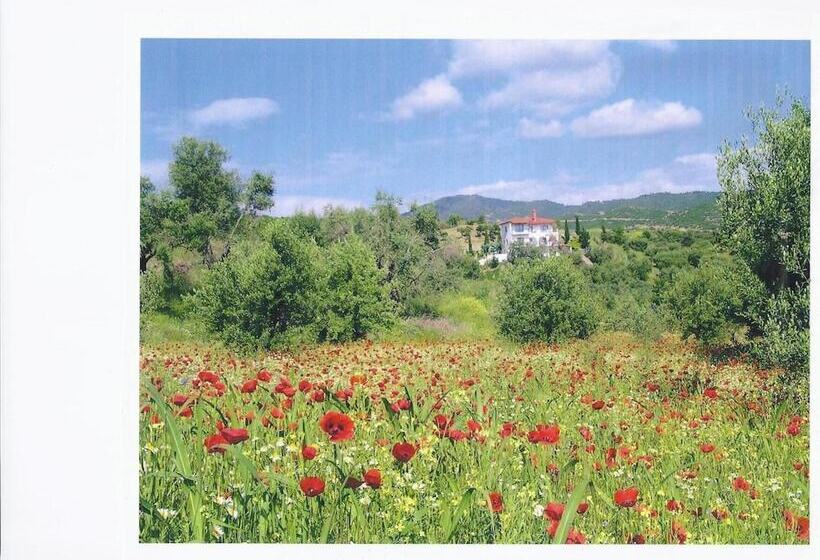 Bed and Breakfast Sartivista