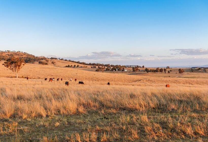 צימר Strathearn Park Lodge