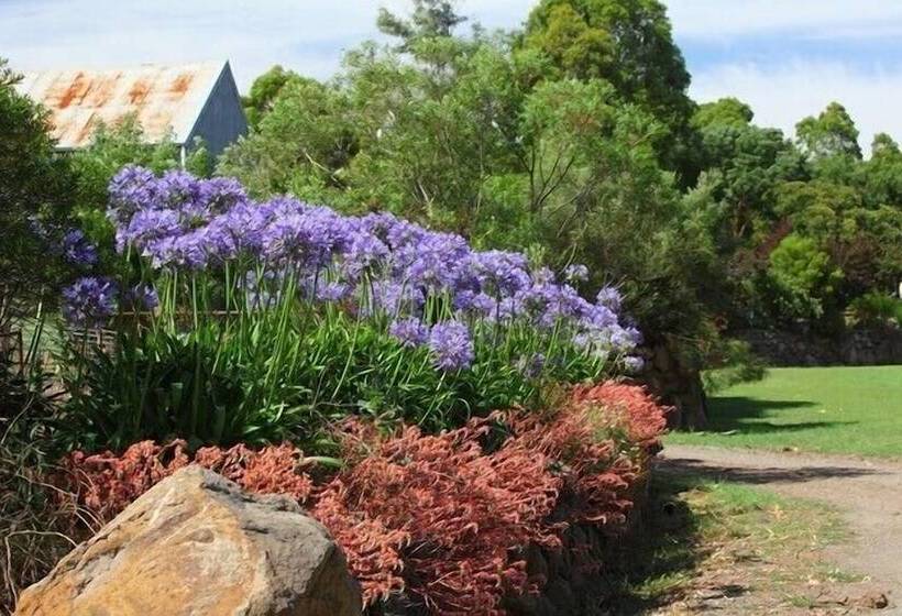Bed and Breakfast Tuki Retreat