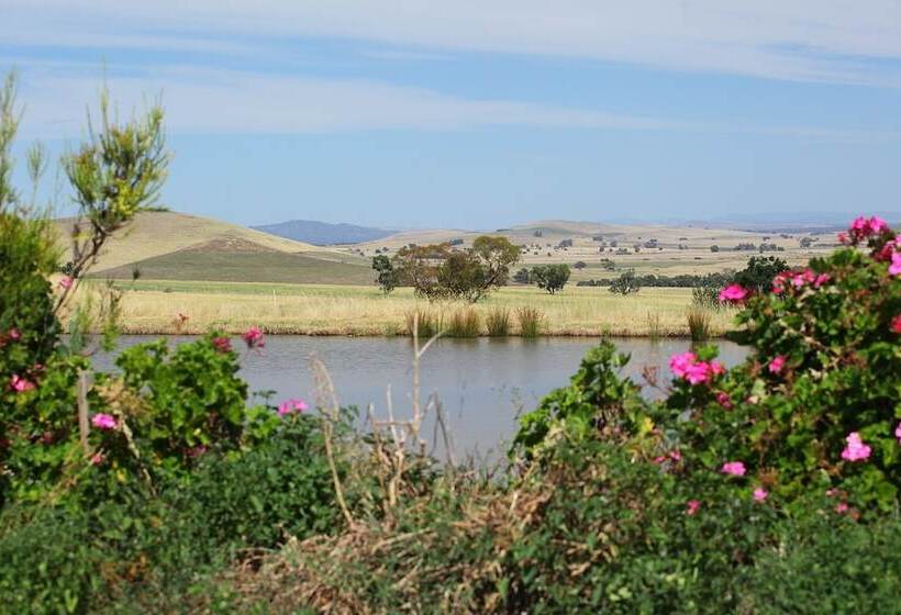 Bed and Breakfast Tuki Retreat