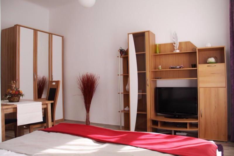 Apartment Buchengasse