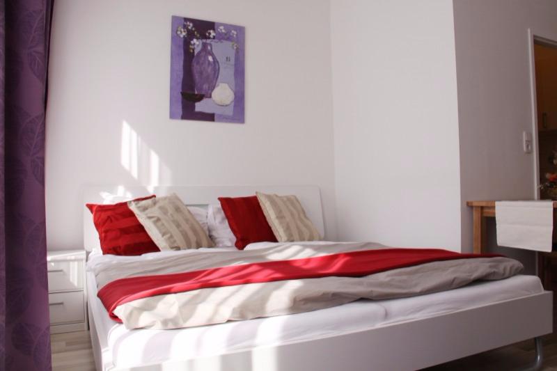 Apartment Buchengasse