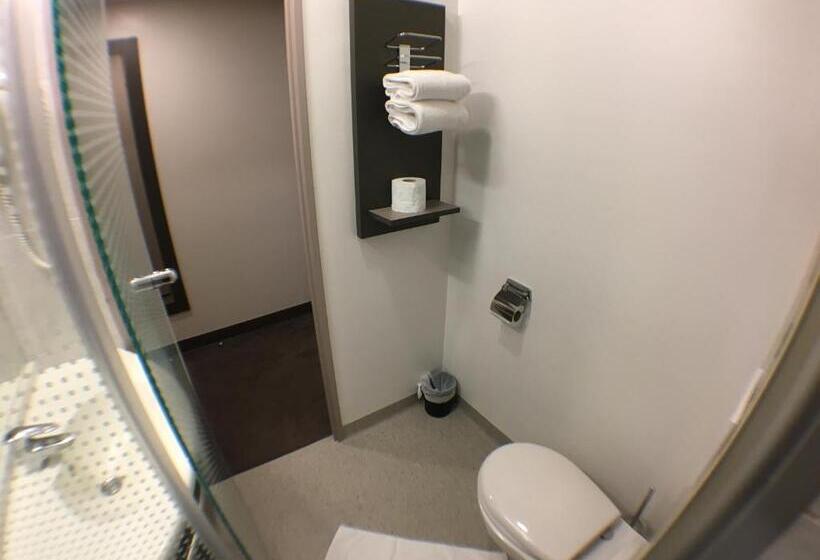 ホテル Akena City Saint Witz